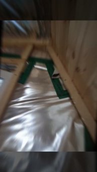 1000030774.mp4 (Собака наблюдает за креплением каркаса для имитации бруса в доме А-фрейм)