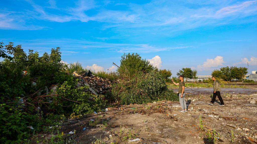 В деревне Челобитьево ликвидировали свалку