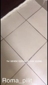 #кот #перепутал #прикол