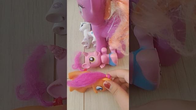 1000003166.mp4