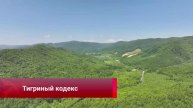 Учёные опубликовали правила поведения при встрече с тиграми
