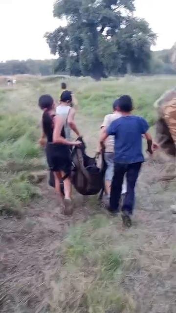 VID-20250803-WA0087.mp4