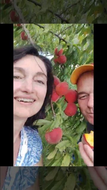 Взгляд сердец, наполненный любовью💘💘