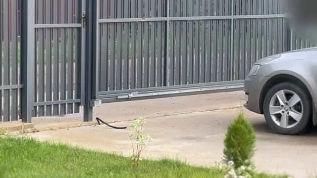 Алиса открывает ворота