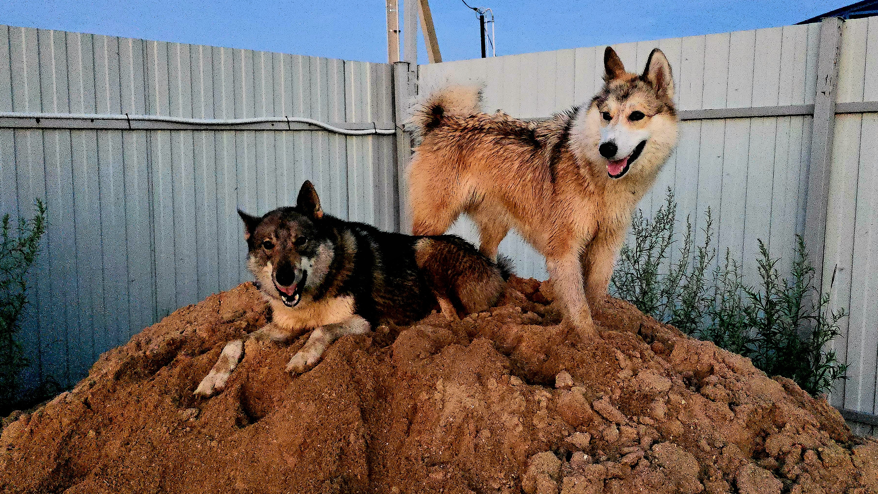 На песке перед ужином