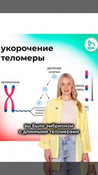 Гарвард, возможно, только что открыл самую дешевую таблетку против старения