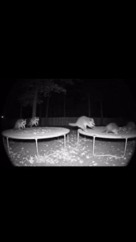 Пока ты спишь