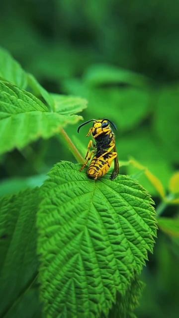 Каждому из нас бывает нужно сесть и подумать..