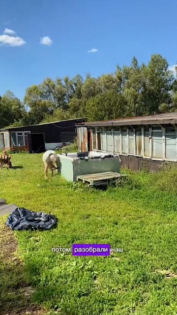 Пока курятник на паузе (мы тут немного приболели), занимаемся другими делами по дому.