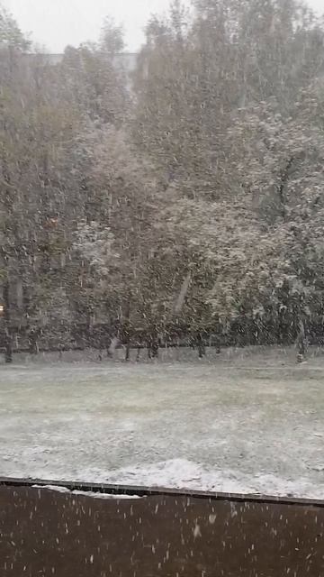 8 мая 2024.Снежный концерт накануне 9 мая.