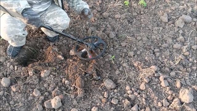 Коп на пару часов