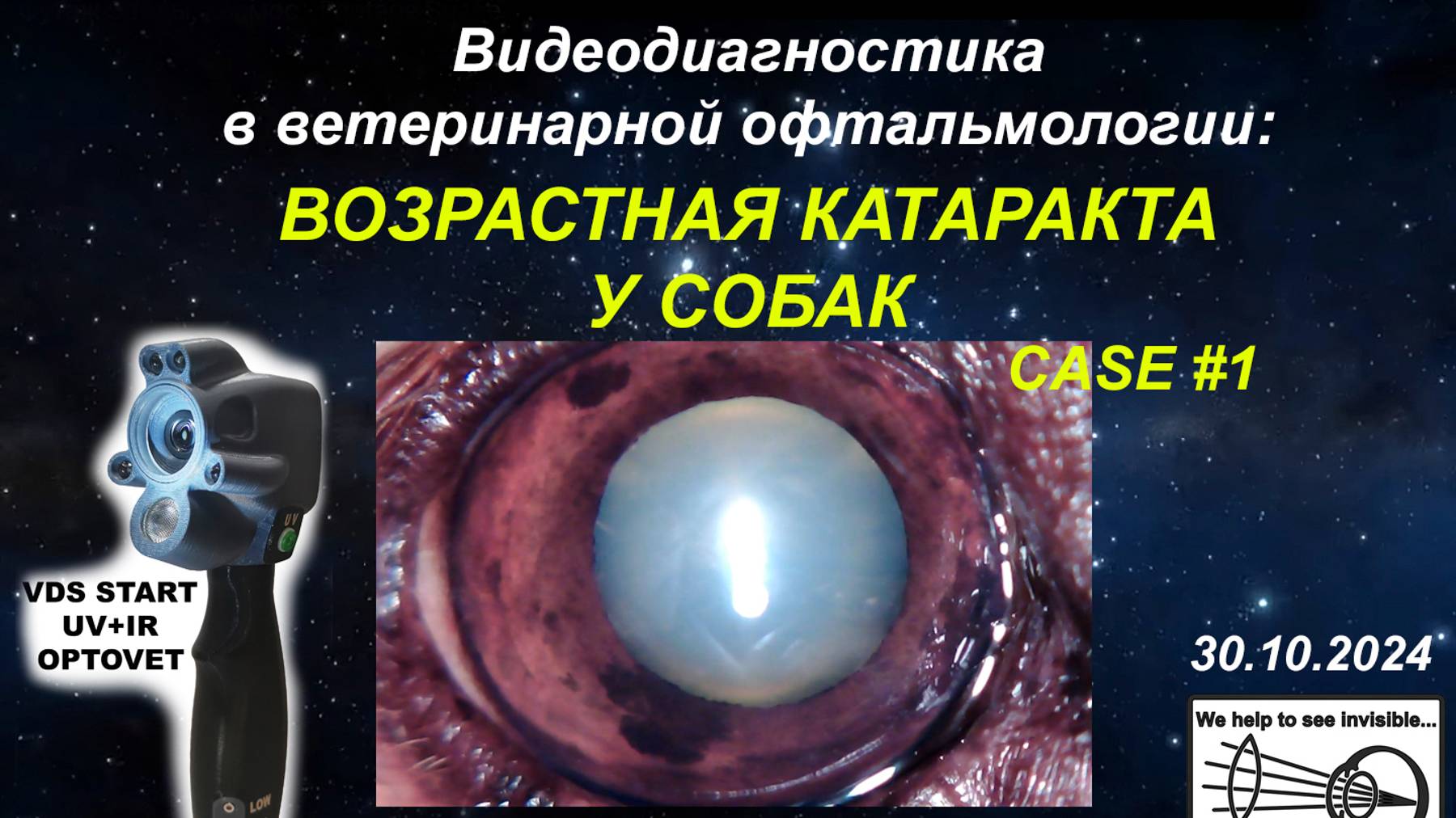 Возрастная катаракта у собак