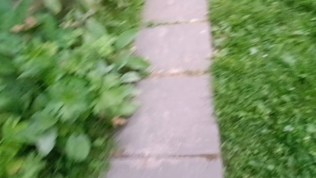 прятки