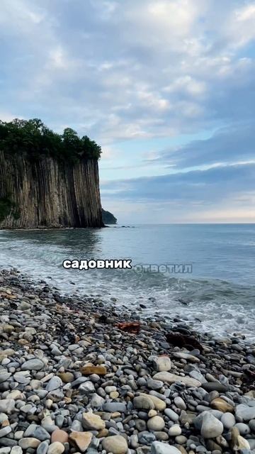садовник 
#притча 
#море 
#природа
#мотивация