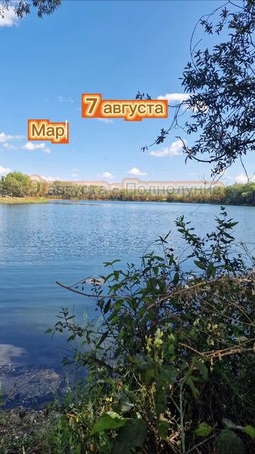 #Астрологический_прогноз на неделю 4 по 10 августа