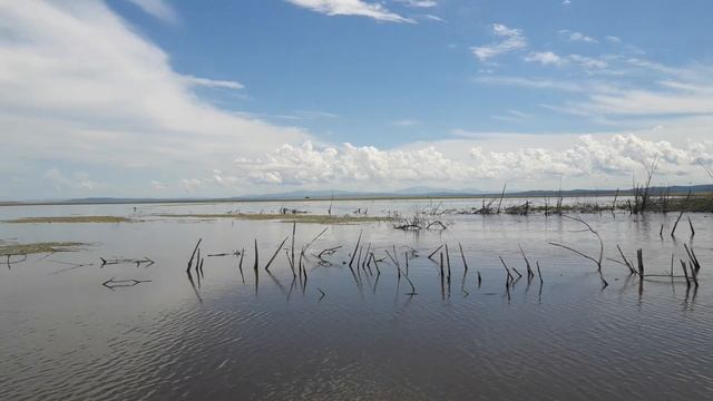 Выход в Хумми-1