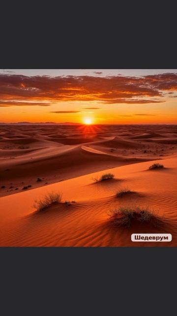 вода#пустыня AI