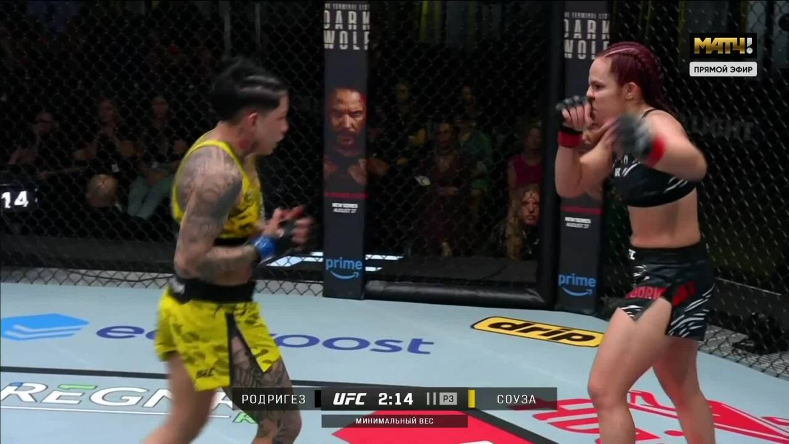 Пиера Родригез против Кетлен Соузы (видео). UFC Fight Night