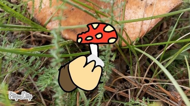 Моя первая анима в флипаклипе