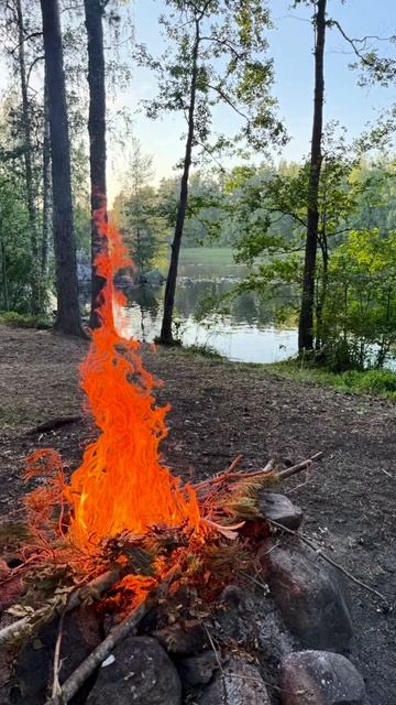 Идеальный план на август 🚣🌊🌲