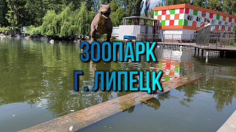 #38 Зоопарк. Липецк