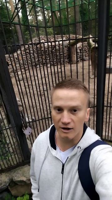 Российское образование 03.08.25 #Минобрнауки #Правительство #ГосДума #СовФед #КС