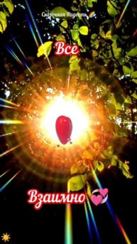 #мудрыемысли #дарить #свет #душа #эмоции #любовь #солнцепек #лето2025