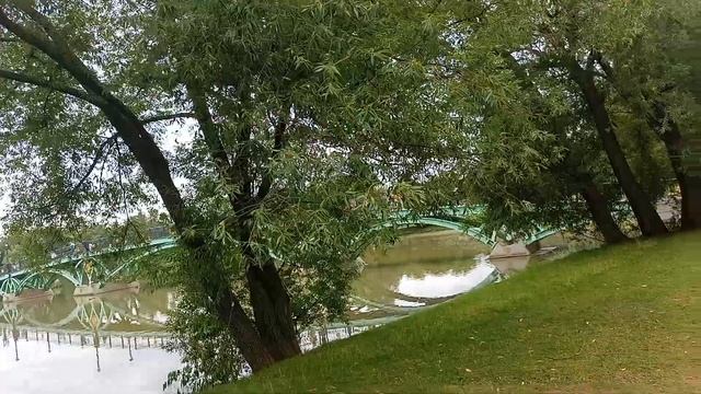 Царицынский парк. Август 2025