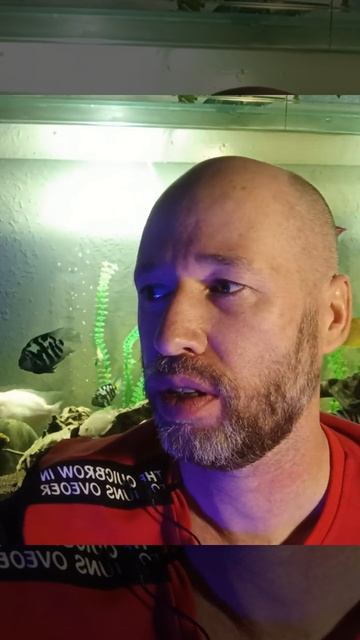 Закон притяжения + сила подсознания = материализация желания