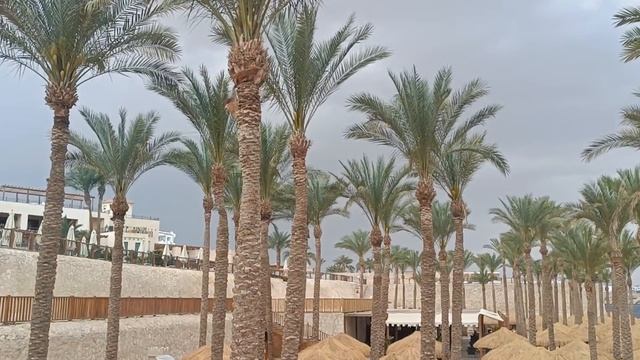 ЕГИПЕТ.МАРТ 2025