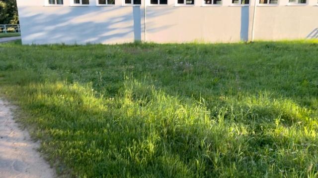 Отреставрированная конюшня Московский конный завод 1