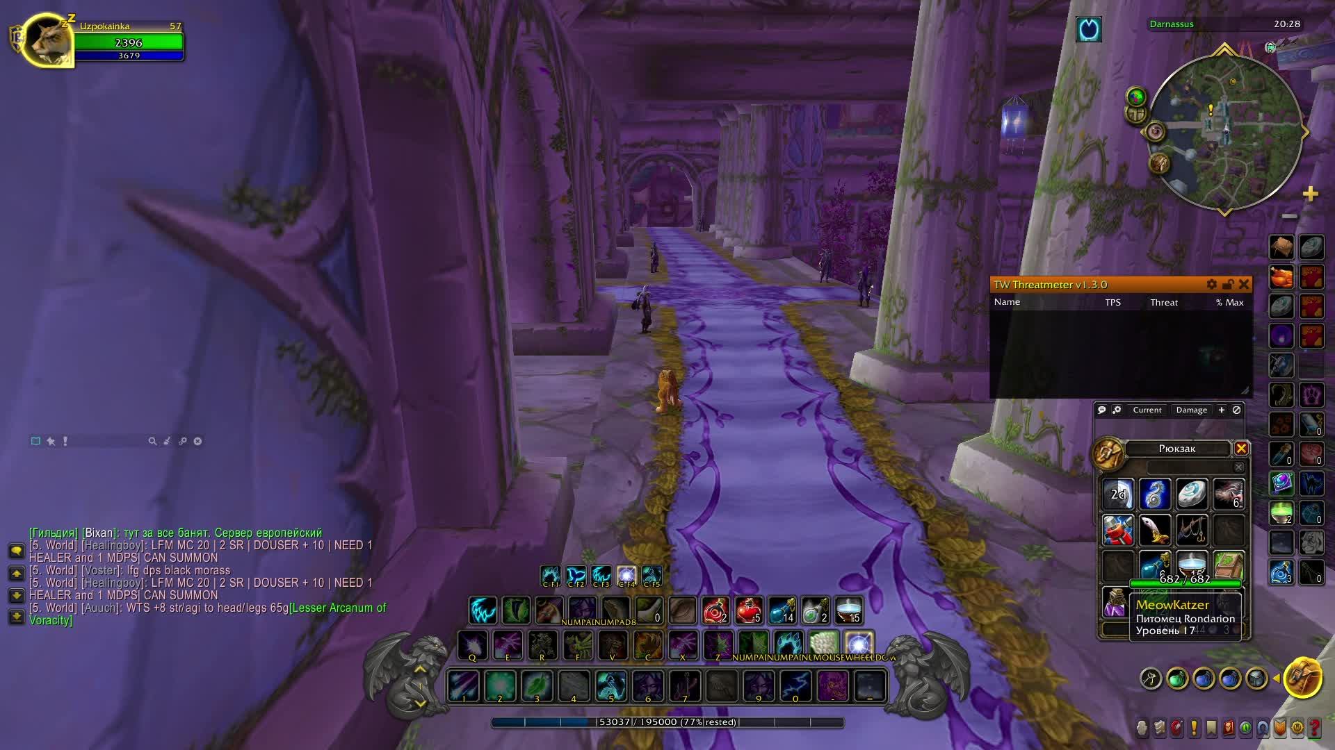 Сова на черепахе