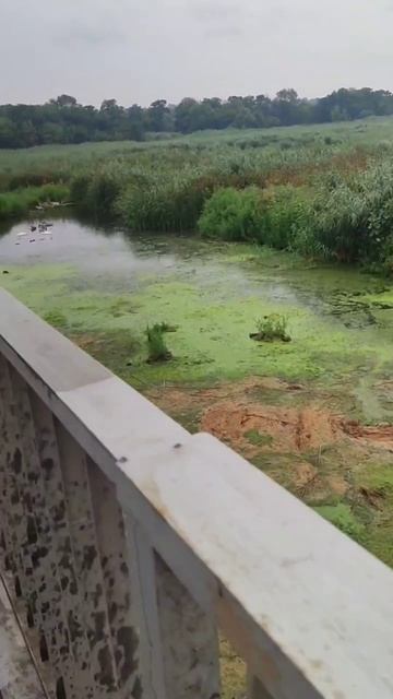 Нижняя Крынка 03.08.2025
Эпопея с экскаватором и чисткой Крынки окончена