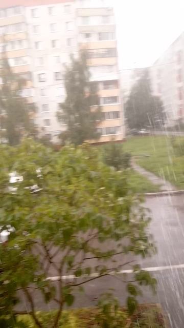 VID_20250808_125948.mp4