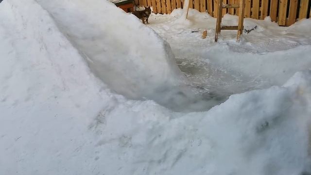 Ледяная горка из снега своими руками залил к новому году Игорь Стулов