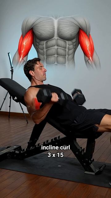 Bicep workout 💪