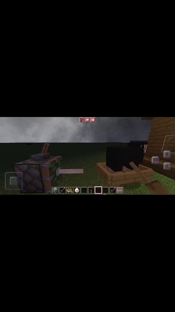 1000000577.mp4