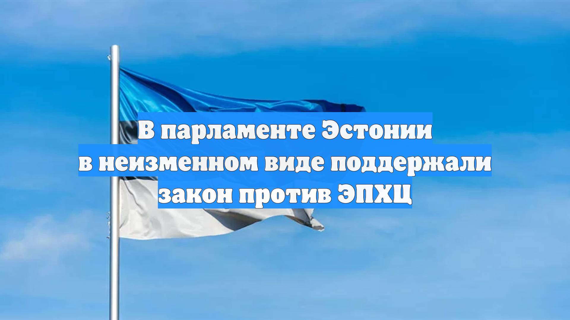 В парламенте Эстонии в неизменном виде поддержали закон против ЭПХЦ