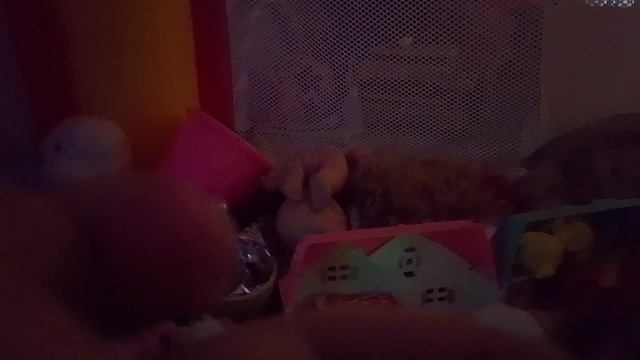 1000002706.mp4