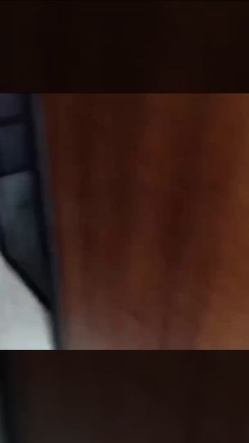 Китаянка уехала на выходные, а вернувшись, застала на кухне около 70 живых цыплят