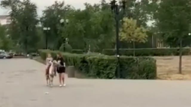 ПОНИ. Весёлая прогулка ..