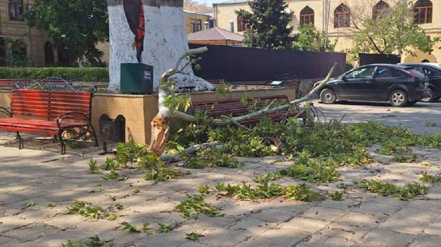 Погибшая в Дербенте туристка была из Йошкар-Олы