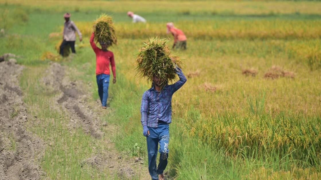 Индия защитит своих фермеров от санкций США