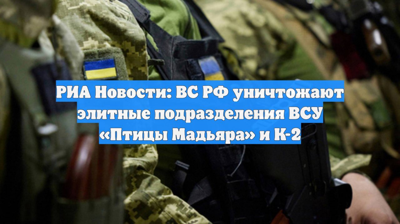 РИА Новости: ВС РФ уничтожают элитные подразделения ВСУ «Птицы Мадьяра» и К-2