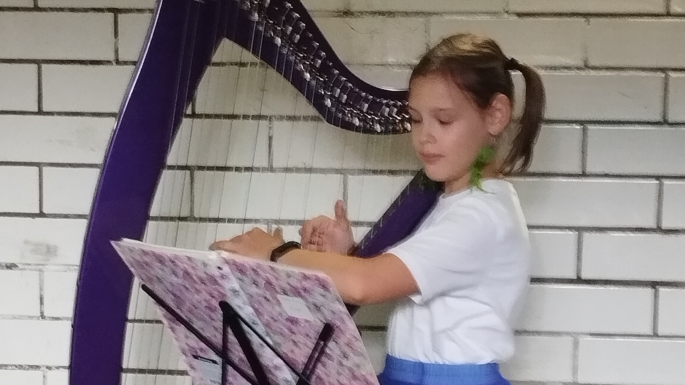 утренняя арфа