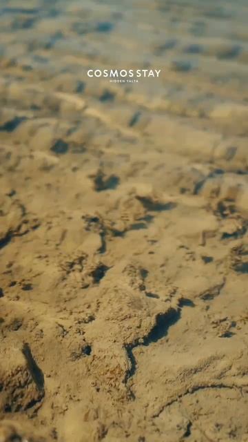 Крым — источник сил для решительных действий.