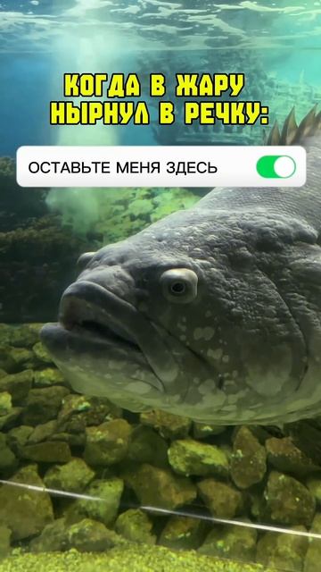 Как проходит ваше лето? Чем занимаетесь? Пишите в комментариях 😊