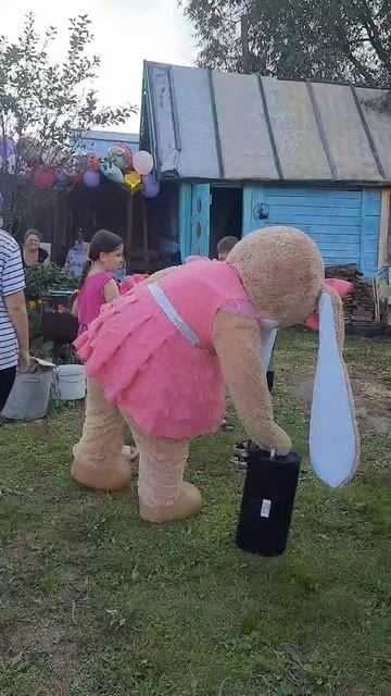 Сюрприз на даче