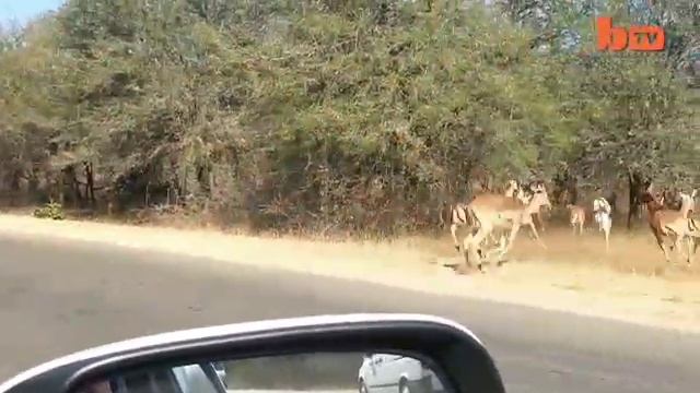 Как проходит день у сотрудника МТБ Банка. Прикол.