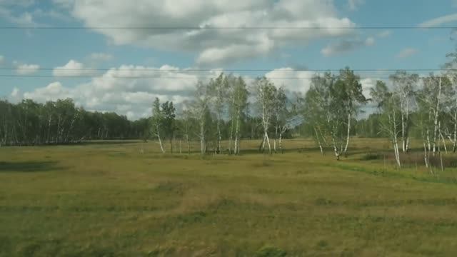 Барабинск - Омск, вид из окна поезда (Транссибирская магистраль).